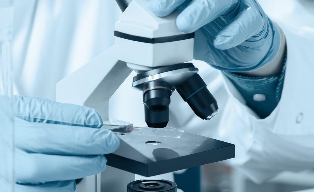 Farmacéutica y Dispositivos Médicos